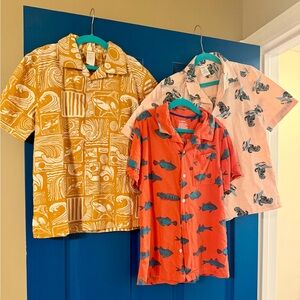 Set of 3 Fun Patterned Button Downs - Boys Size 8